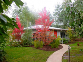 Dalrymples Guest Cottages, Marysville
